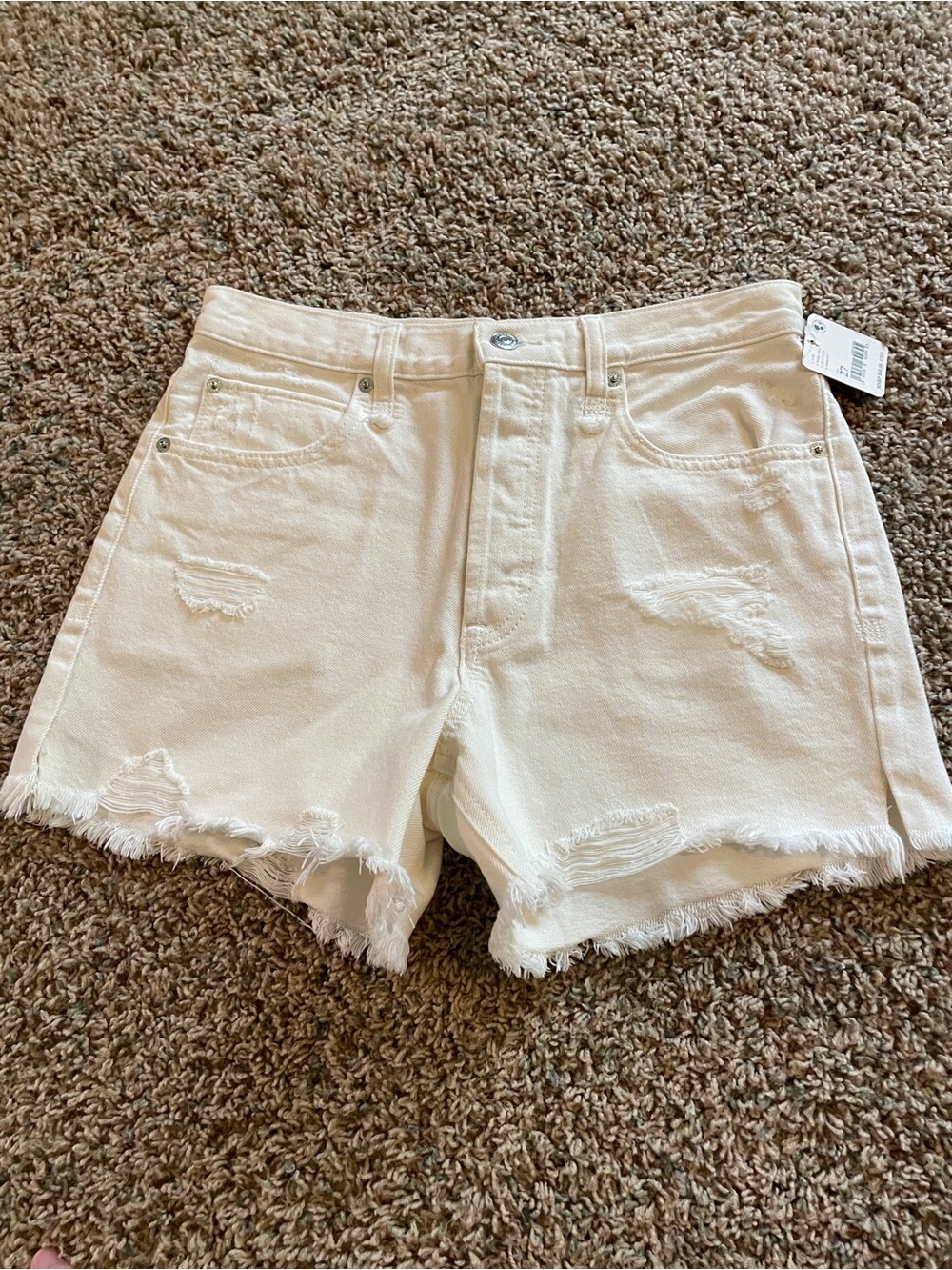 NWT Free People shorts
